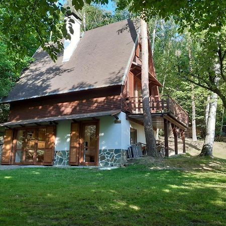 Holiday Home Zajicovi Rabyne Ngoại thất bức ảnh