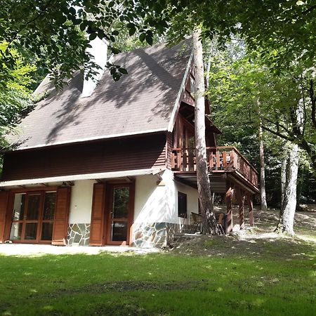 Holiday Home Zajicovi Rabyne Ngoại thất bức ảnh